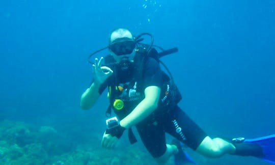 Diving Trips in Ko Samui