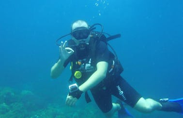 Diving Trips in Ko Samui