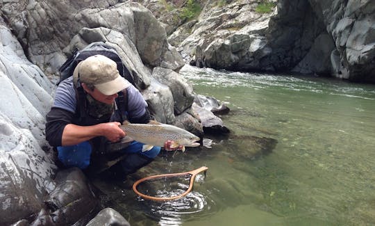 Backcountry Fly Fishing Trip In Christchurch