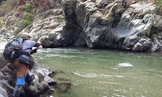 Backcountry Fly Fishing Trip In Christchurch