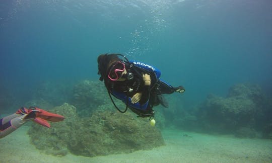 Diving Trips in Hengchun Township