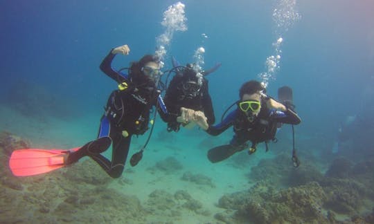 恒春郷ダイビング旅行