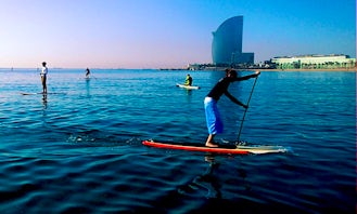 Paddleboard Rental and Lessons in Arona
