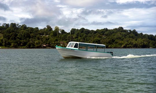 Wildlife Boat Tours in Puntarenas, Costa Rica