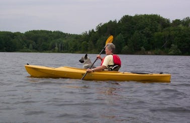 Single Kayak Rental and Trips in Linden, Tennessee