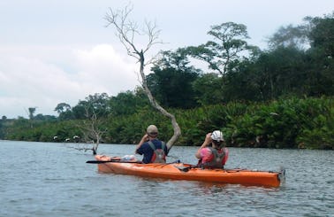 Tandem Kayak Rental and Trips in Linden, Tennessee