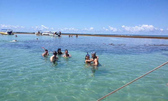 Day Tour in Morro de SP, Around Tinharé Island