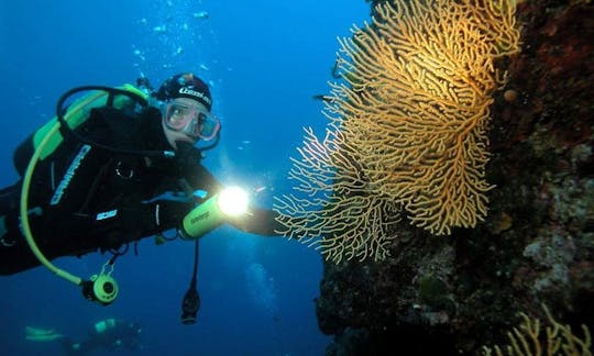 Boat Diving Trips in Central Dalmatia, Croatia