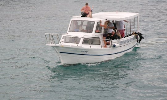 Snorkeling in Okrug Gornji