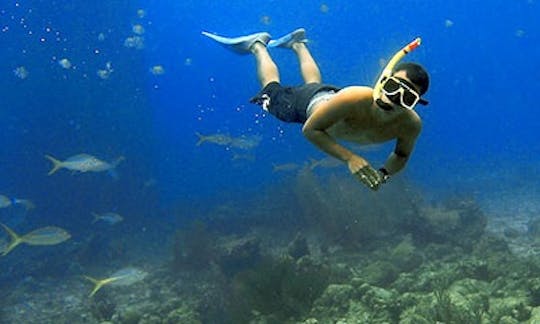 Snorkeling in Okrug Gornji