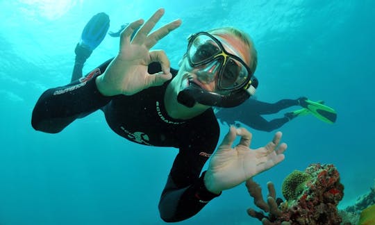 Snorkeling in Okrug Gornji