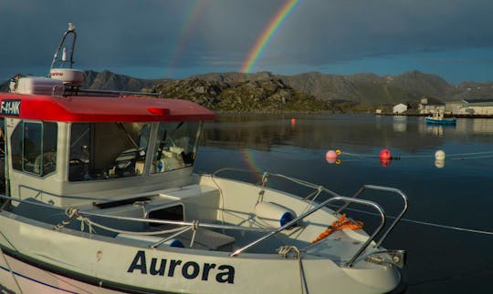 Hire Fishing Charter 'Aurora' In Finnmark