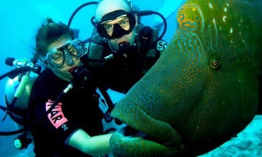 Excursiones y cursos de buceo en Gdansk