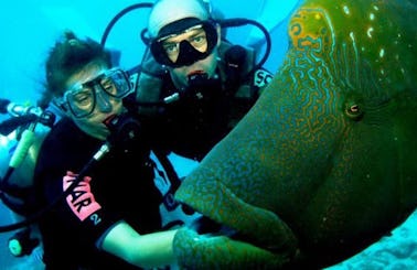 Diving Trips and courses in Gdańsk