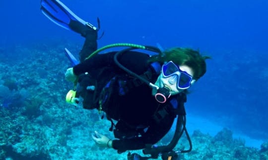 Diving Trips and Courses in Ustica