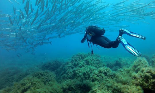 Diving Trips and Courses in Ustica