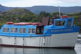 Island Ferry Tour In Glengarriff