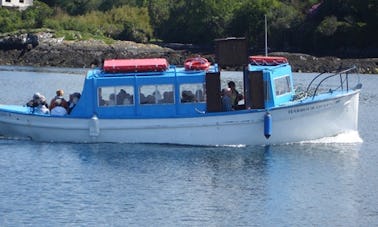 Ferry Boat Sightseeing Trips In Glengarriff