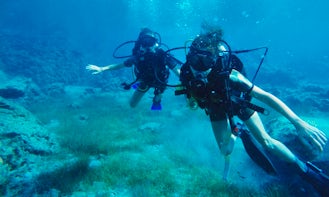 'SKOPELOS' Diving Courses in Paralimni