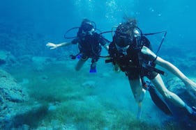 'SKOPELOS' Diving Courses in Paralimni