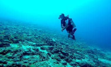 Buceo diario en Andaman