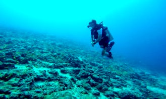 Daily Diving in Andaman