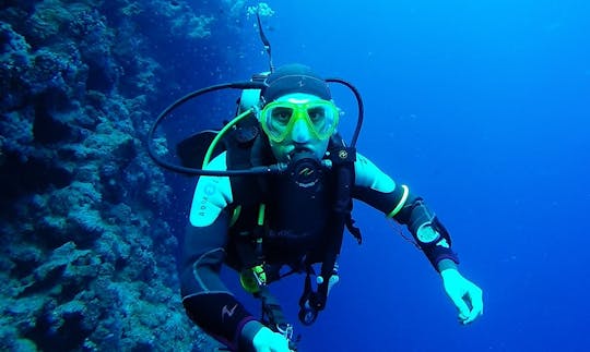 Viajes de buceo y cursos PADI en Banjar