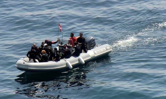 Excursiones y cursos de buceo «Dinghy Hair» en Porto Azzurro