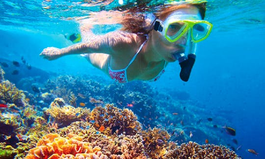 Snorkeling Adventure for Up to 15 People in Tambon Ko Chang, Thailand