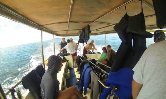 Daily Diving Excursion in Mali Lošinj, Croatia
