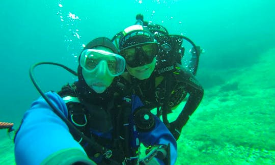 Daily Diving Excursion in Mali Lošinj, Croatia