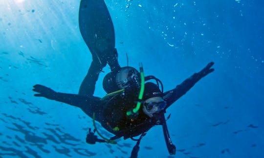 Scuba Diving In Costa Brava, Spain