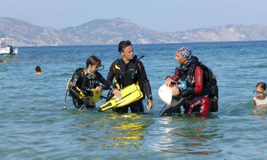 Excursions de plongée sous-marine pour toute la famille à Zakinthos, Grèce