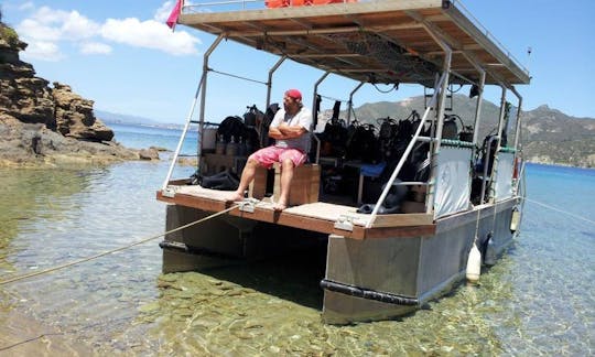 Excursions de plongée sous-marine pour toute la famille à Zakinthos, Grèce