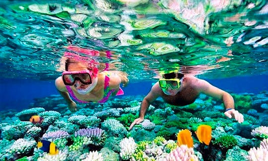 Exciting Snorkeling Adventure in Ionian Sea with Khristos