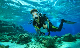 Diving Trips and PADI Diving Courses In Hjalteyrarvegur