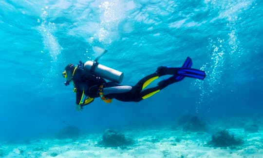 Diving Trips and PADI Diving Courses In Hjalteyrarvegur