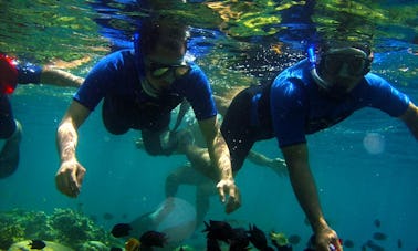 Excursions de plongée avec tuba sur les sites de plongée riches en coraux de Bentota, au Sri Lanka