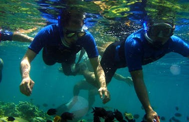 Snorkeling Tours in the Coral Rich Dive Sites in Bentota, Sri Lanka