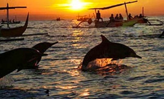 Dolphin Tour in Denpasar