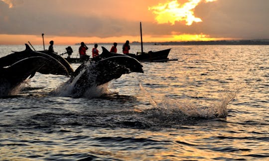 Passeio com golfinhos em Denpasar