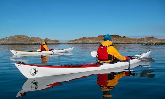 Single Kayak Sea Trips In Glenuig