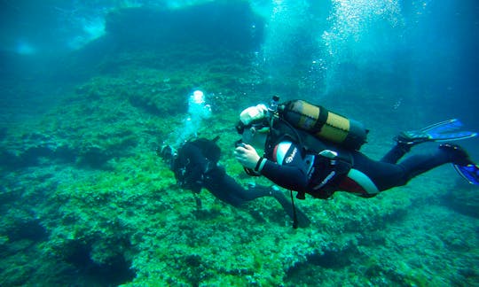 Diving Trips and Courses In Portopetro
