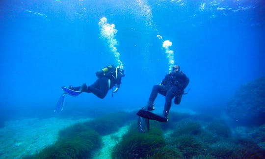 Diving Trips and Courses In Portopetro, Spain
