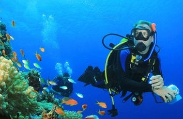 Diving Trips and Courses In Portopetro, Spain