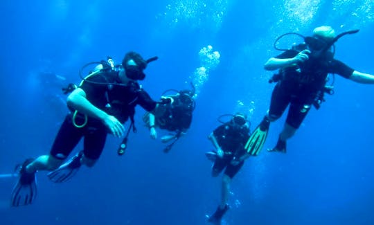 Diving trips & Courses in Vaitāpē