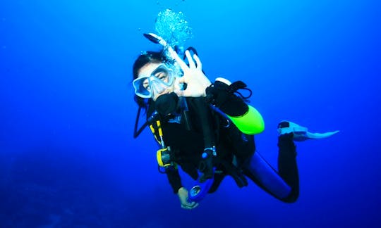 Diving trips in Papeete