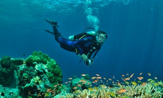 Diving Trips and Courses in Mersing