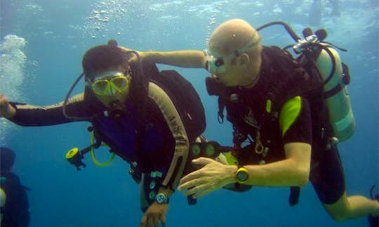 Diving Trips & Courses  in Murhum