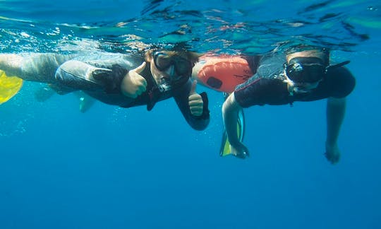 Scuba Lessons and Snorkelling in Chania